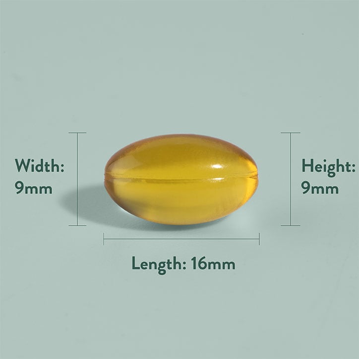 Holland & Barrett Vegan Omega 3 Oil 500mg 30 Capsules